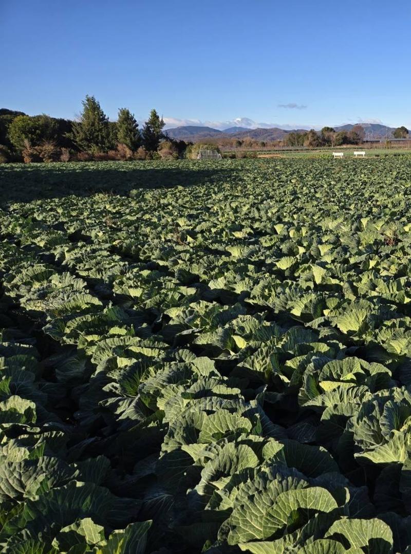 株式会社ヨシカワの求人・転職情報