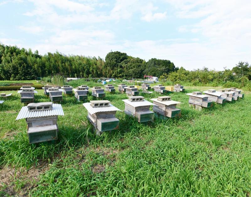 (有)健康自然工房のアルバイト・バイト求人情報-03