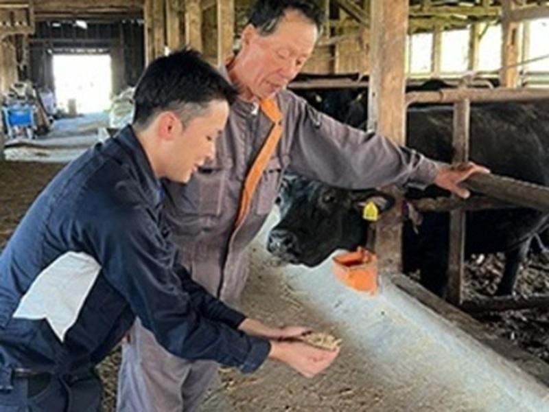 JA全農くみあい飼料株式会社の求人・転職情報