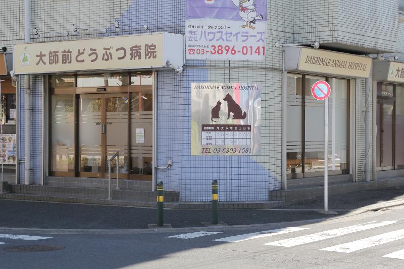 大師前どうぶつ病院の派遣求人情報