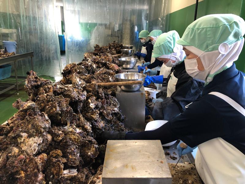 末永海産株式会社のアルバイト・バイト求人情報-02