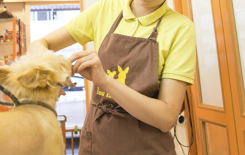 犬猫生活株式会社の求人・転職情報