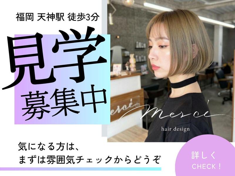 Merciの求人・転職情報