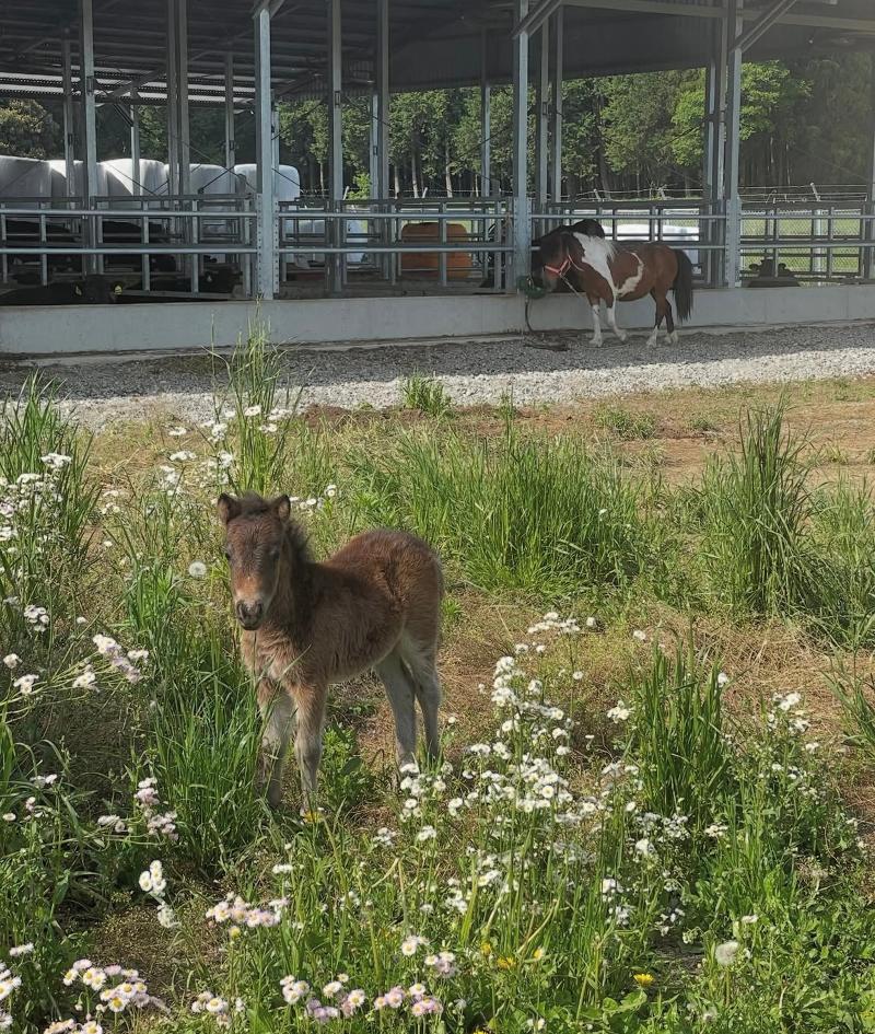 有限会社月尾企画のアルバイト・バイト求人情報-05