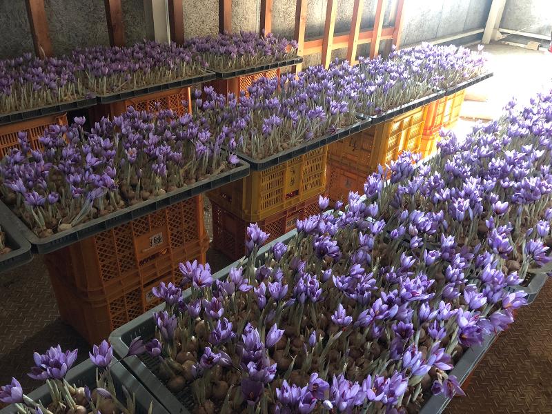 株式会社GRプラントの求人・転職情報