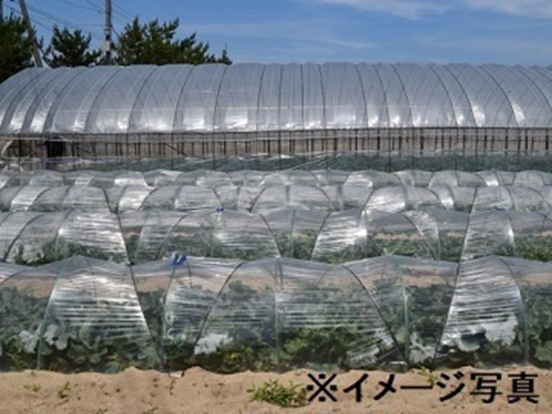 東罐興産株式会社のアルバイト・バイト求人情報-03