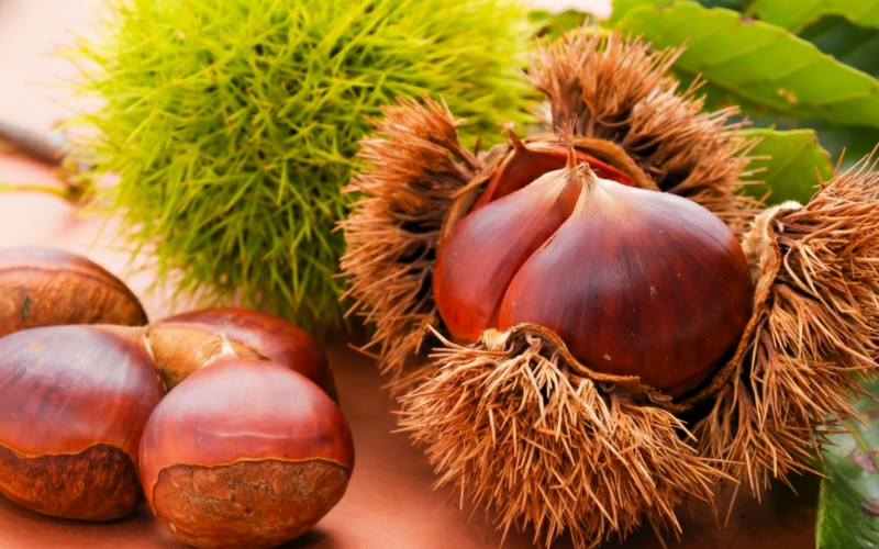 株式会社レボ・アクティマのアルバイト・バイト求人情報-05