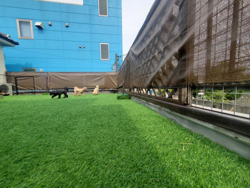 ドッグサロン Daisy Bellのアルバイト・バイト求人情報-04