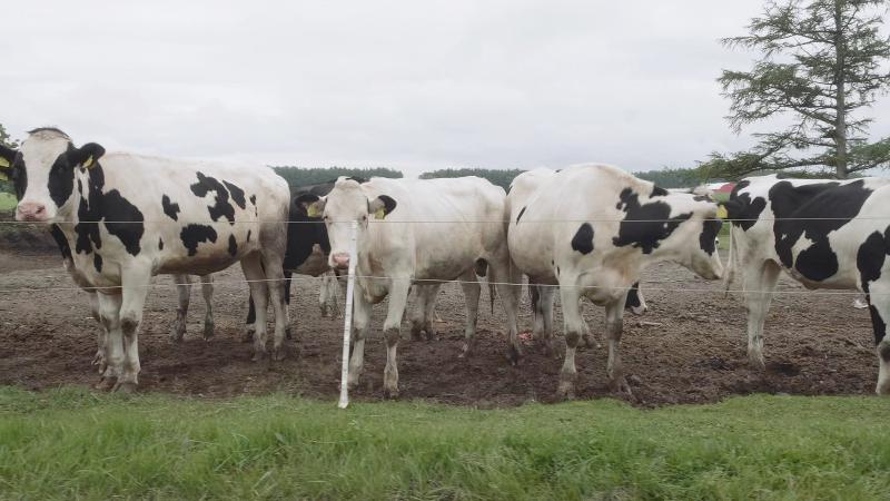 有限会社中山牧場の求人・転職情報