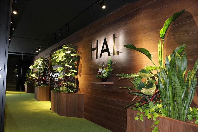 株式会社HALの求人・転職情報