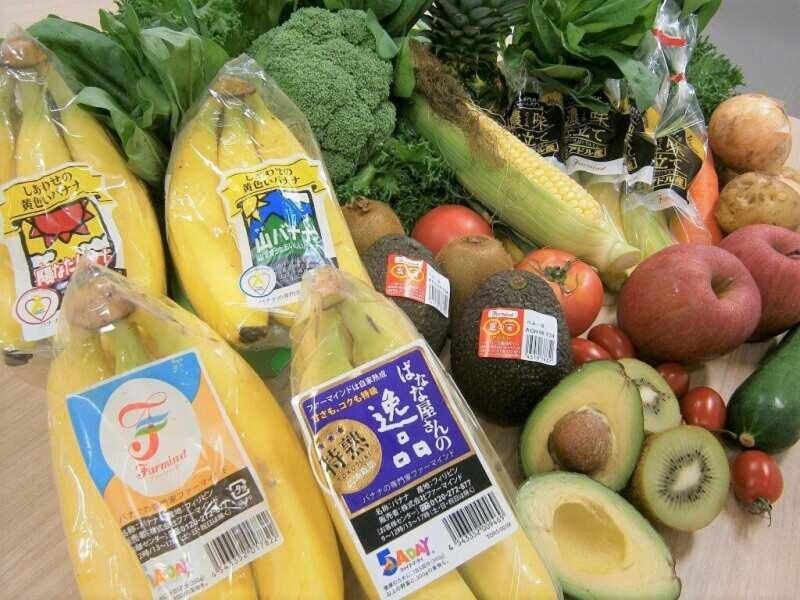 株式会社ファーマインド 福岡センター