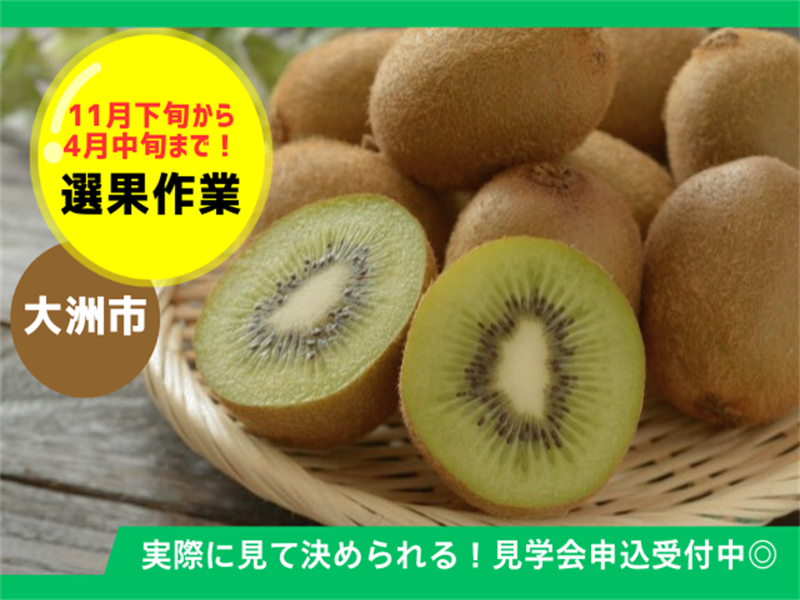 アビリティーセンター株式会社　松山オフィスのアルバイト・バイト求人情報-46