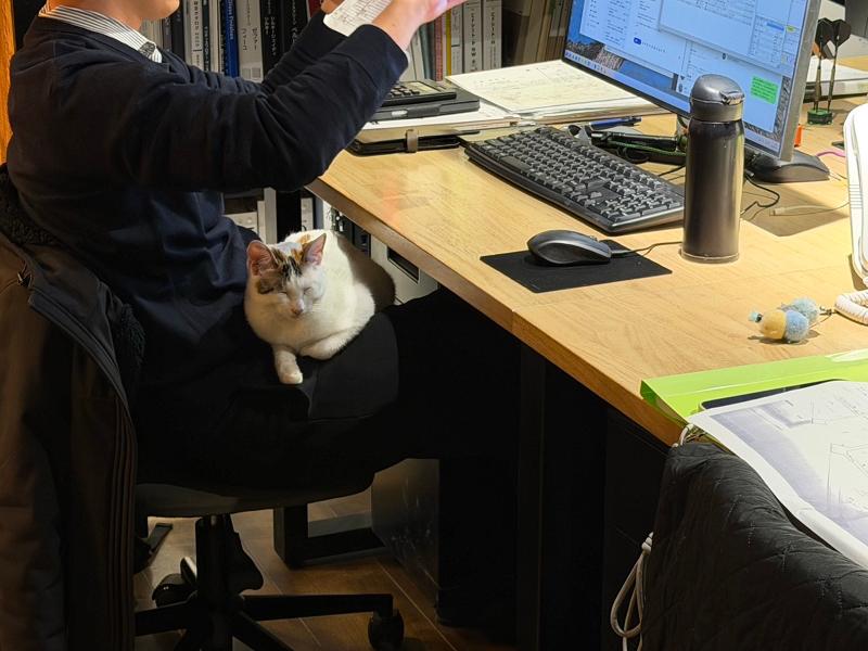 大矢建工株式会社の求人・転職情報