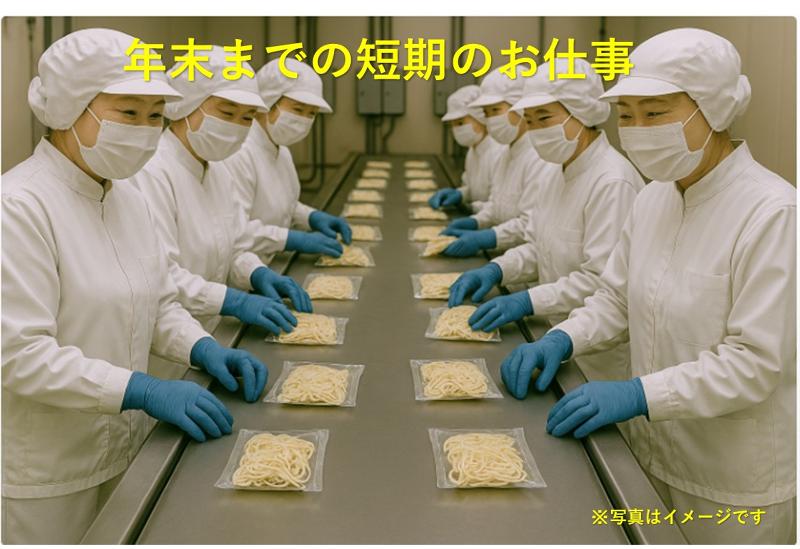 株式会社　野田市電子　人材ソリューション事業部のアルバイト・バイト求人情報-11