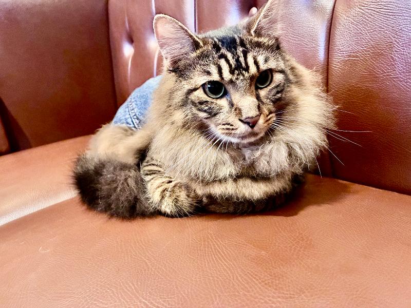 彩-SAI-のアルバイト・バイト求人情報-03