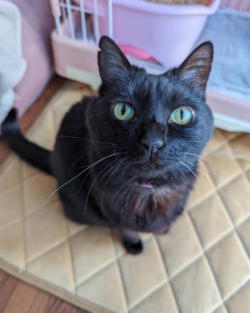 合同会社Naturalplayのアルバイト・バイト求人情報-05