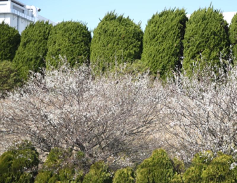 参光タクシー株式会社 本社営業所のアルバイト・バイト求人情報-05