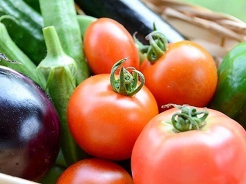 藤野青果株式会社の求人・転職情報