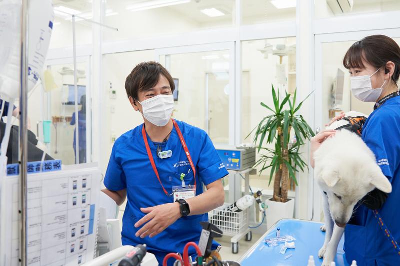 株式会社テリア-0008の求人・転職情報