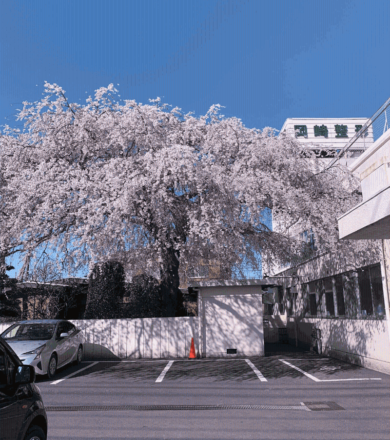 医療法人社団俊徳会の求人・転職情報