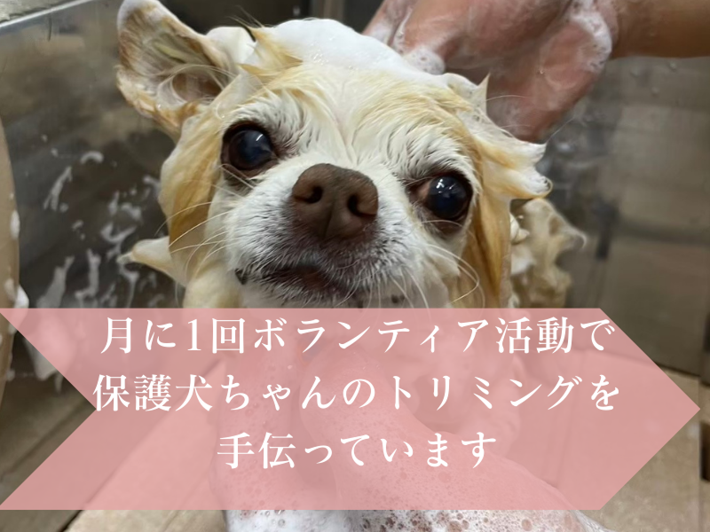 ペットサロン　ジジのアルバイト・バイト求人情報-04