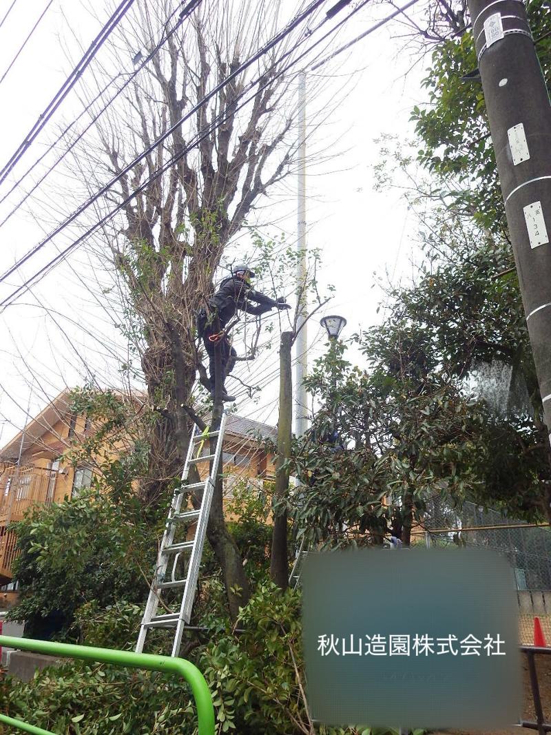 秋山造園株式会社の求人・転職情報