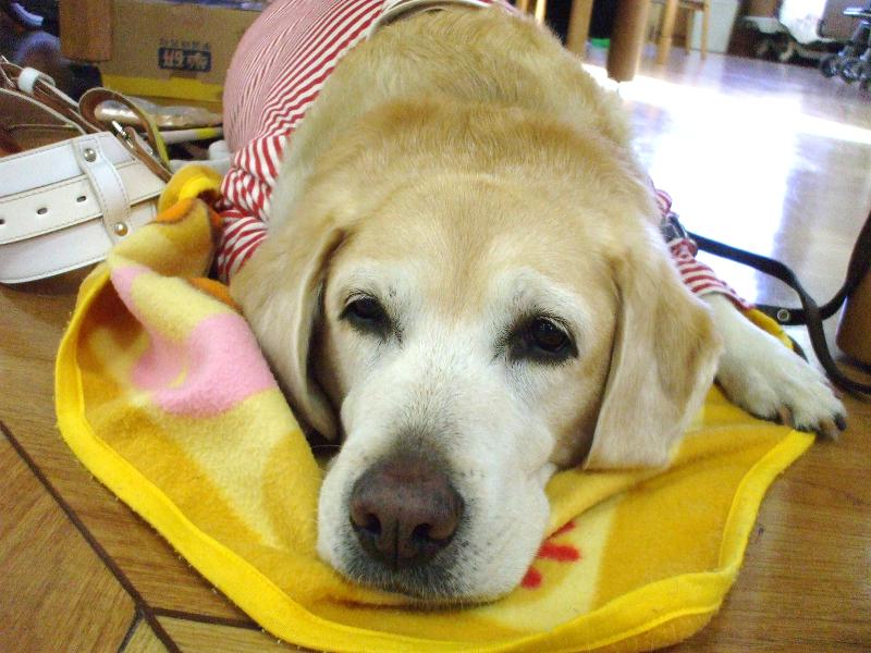 介護老人保健施設さくらの里のアルバイト・バイト求人情報-04