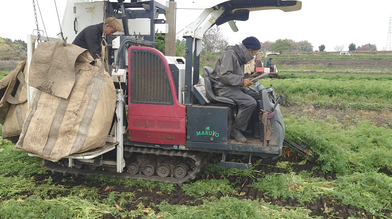 株式会社マルヨの求人・転職情報