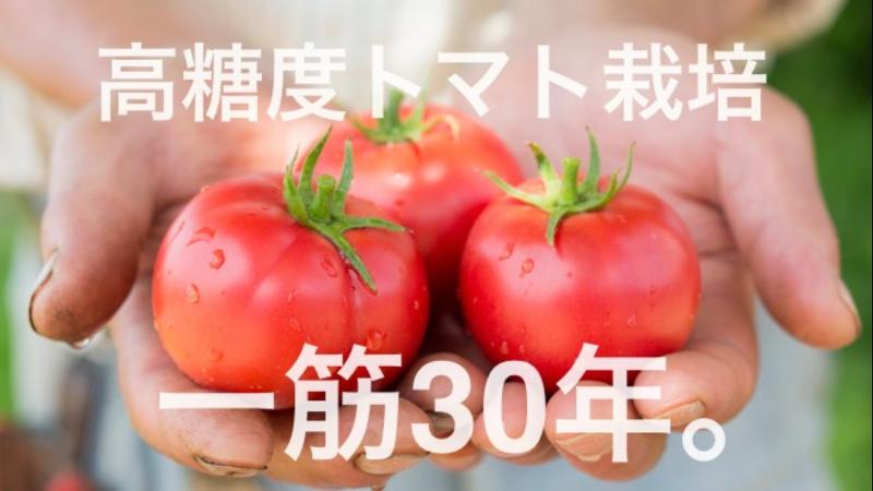 中野ファーム株式会社のアルバイト・バイト求人情報-02