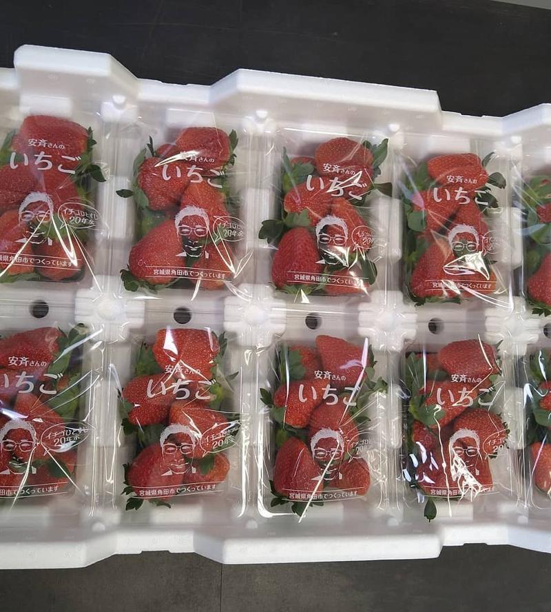 安斉いちごの派遣求人情報