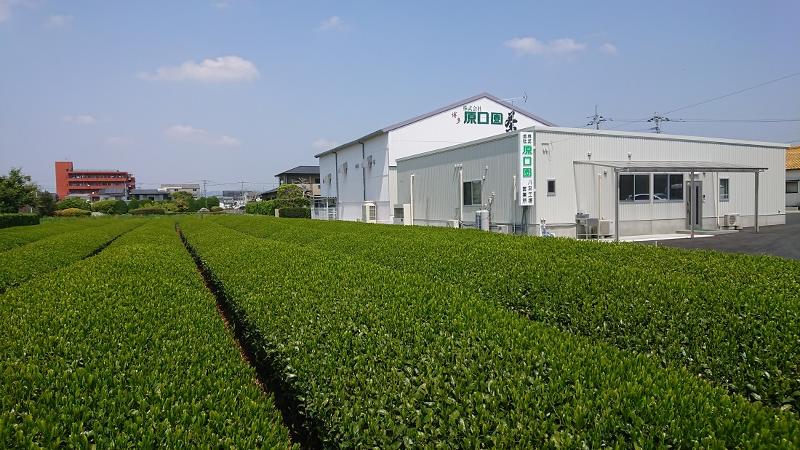 株式会社原口園-0003の求人・転職情報