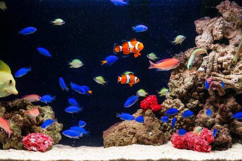 株式会社アクアリゾートのアルバイト・バイト求人情報-03