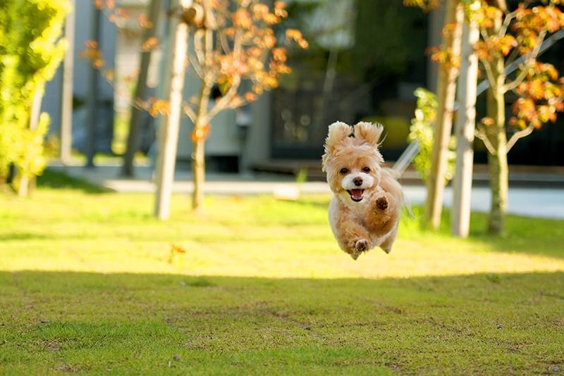 株式会社ブッキングリゾートのアルバイト・バイト求人情報-02