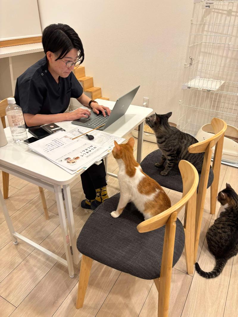 一般社団法人東京都人と動物のきずな福祉協会のアルバイト・バイト求人情報-02