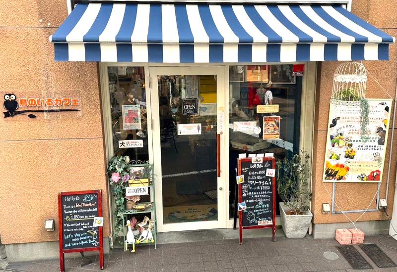 株式会社鳥カフェ 鳥のいるカフェ千駄木店のアルバイト・バイト求人情報-03