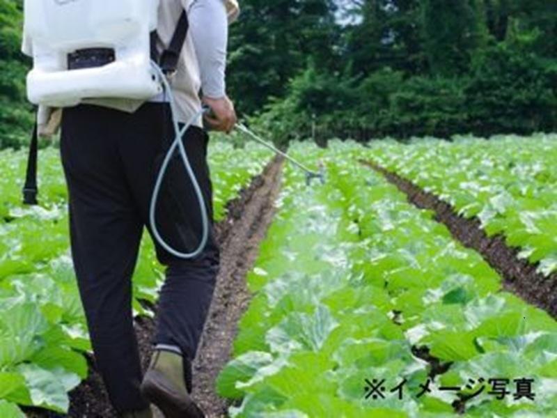 株式会社池田のアルバイト・バイト求人情報-03