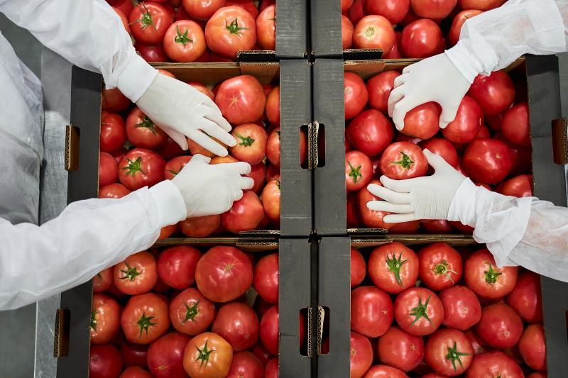 株式会社フラッグス　千葉オフィスのアルバイト・バイト求人情報-07