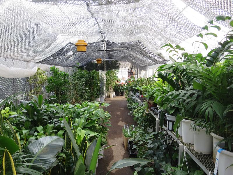 株式会社　西花園-0002の求人・転職情報