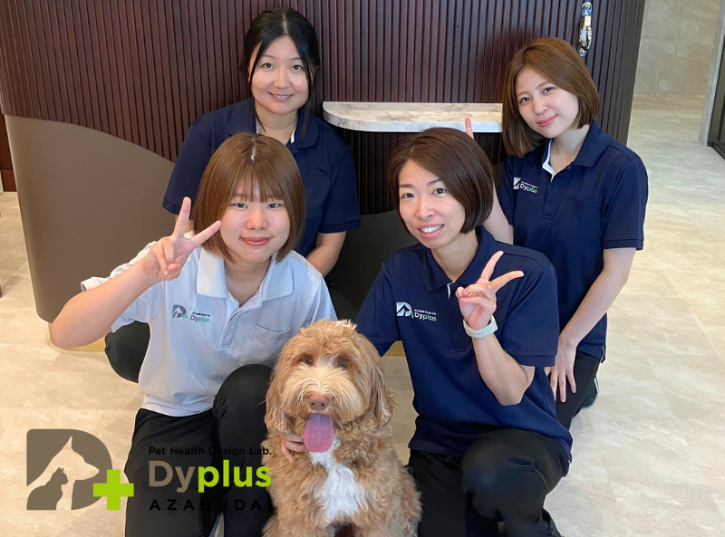 A'alda X株式会社のアルバイト・バイト求人情報-02