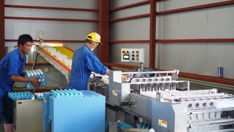 株式会社栗駒ポートリーのアルバイト・バイト求人情報-02