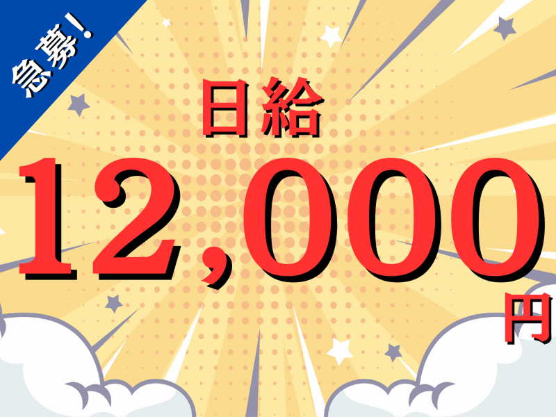  株式会社バイセップスの求人・転職情報