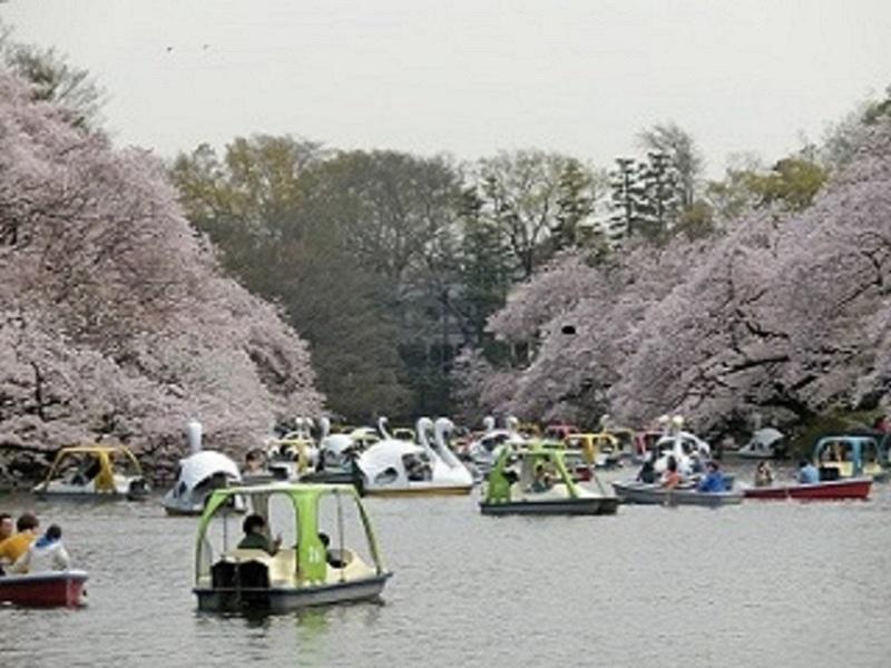(医社)康由会　あべ整形外科クリニックのアルバイト・バイト求人情報-04