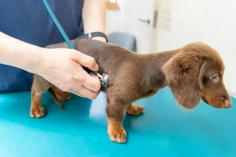 株式会社サンリキュール-0045の求人・転職情報