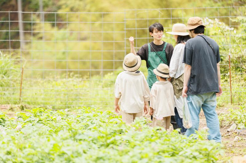 株式会社ダイブのアルバイト・バイト求人情報-03