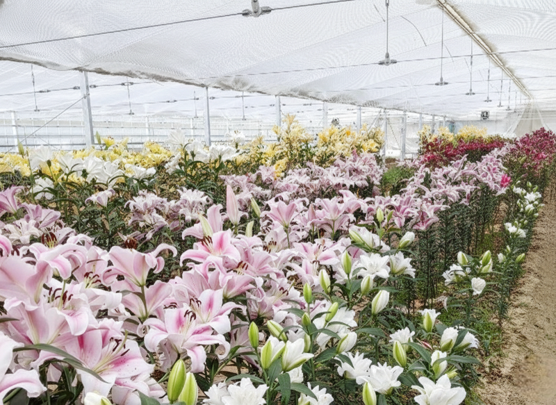 株式会社レボ・アクティマのアルバイト・バイト求人情報-04