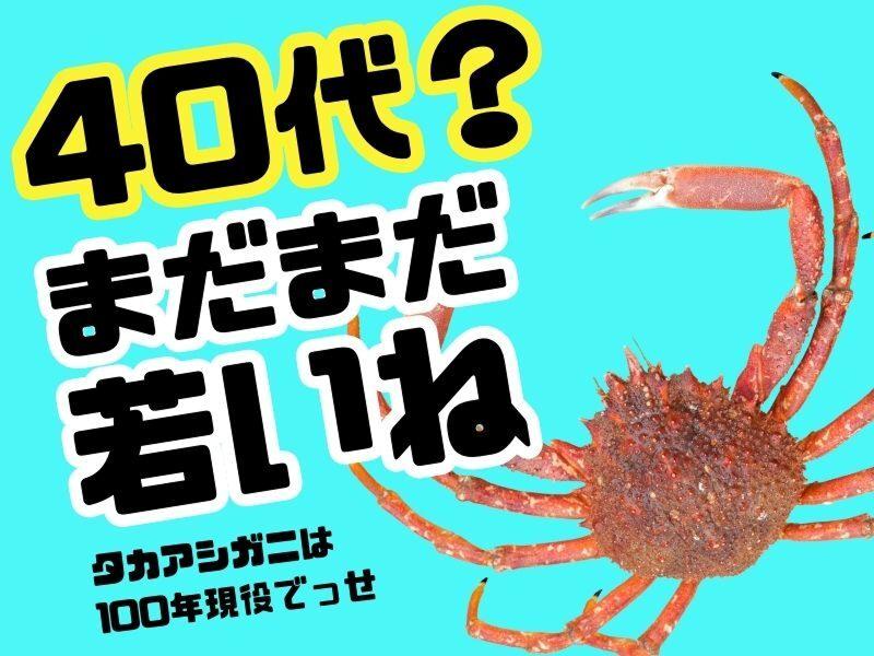 イズミ物流株式会社の求人・転職情報