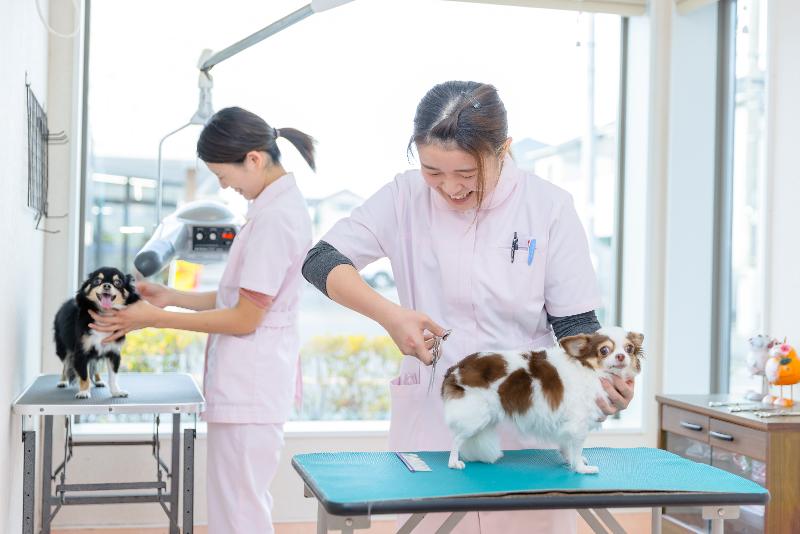 ユーミーどうぶつ病院のアルバイト・バイト求人情報-02