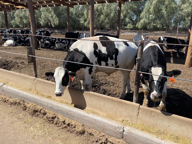 株式会社クオリフィードのアルバイト・バイト求人情報-05