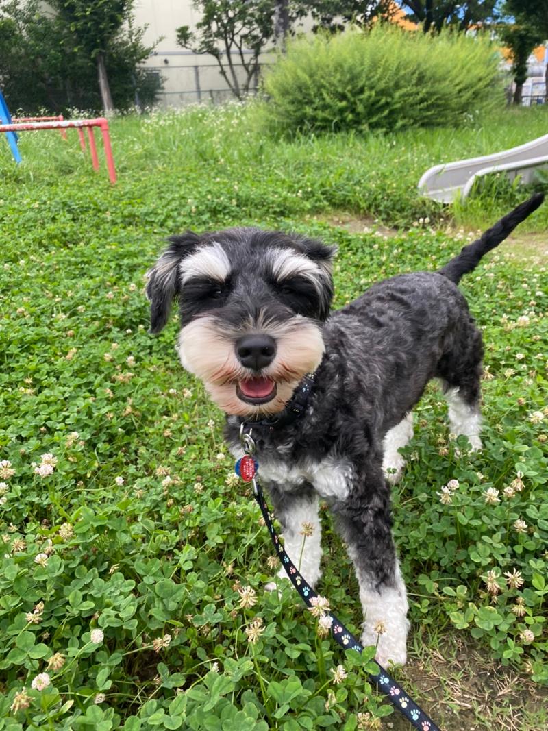 ドッグサロン Daisy Bellのアルバイト・バイト求人情報-03