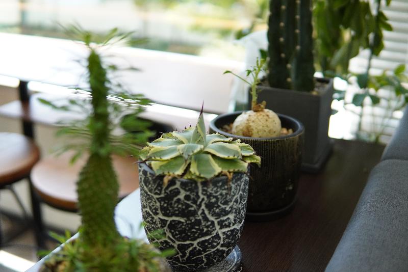 株式会社Puravidaのアルバイト・バイト求人情報-04